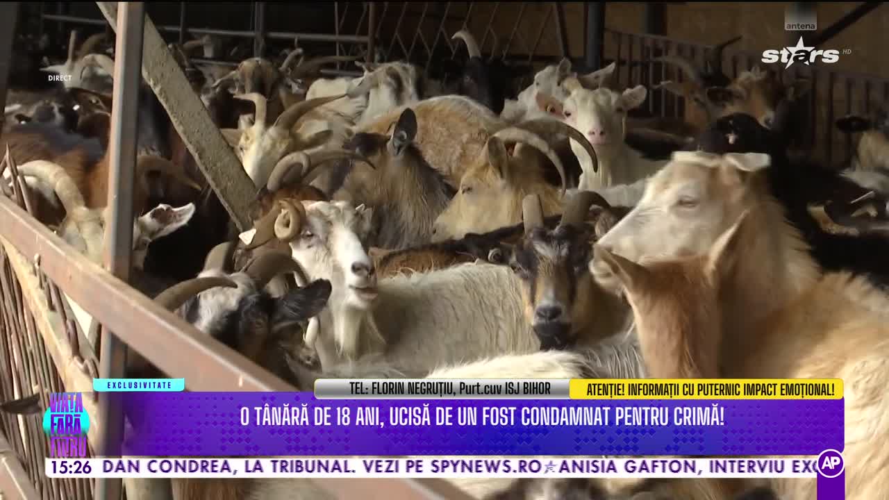 Viața fără filtru