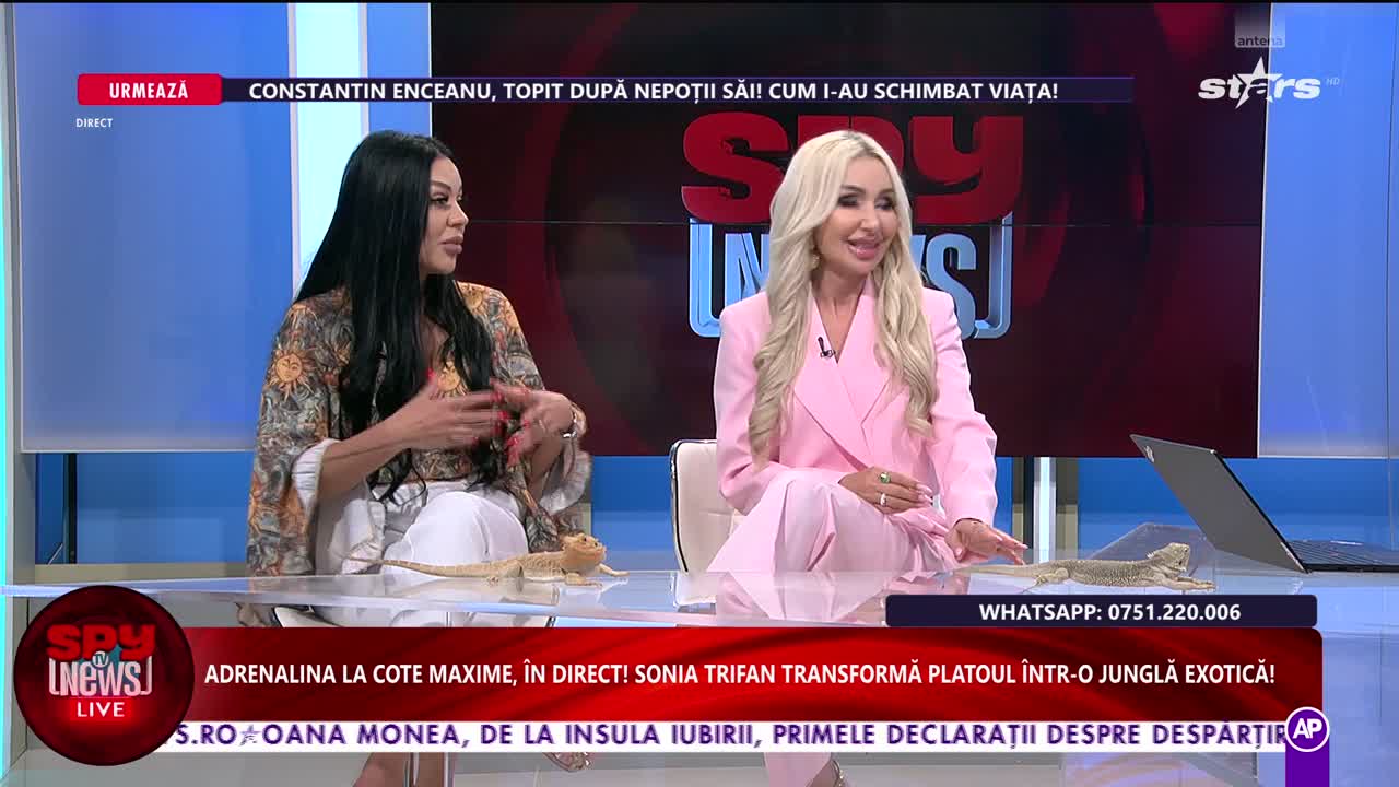 Spynews TV Live