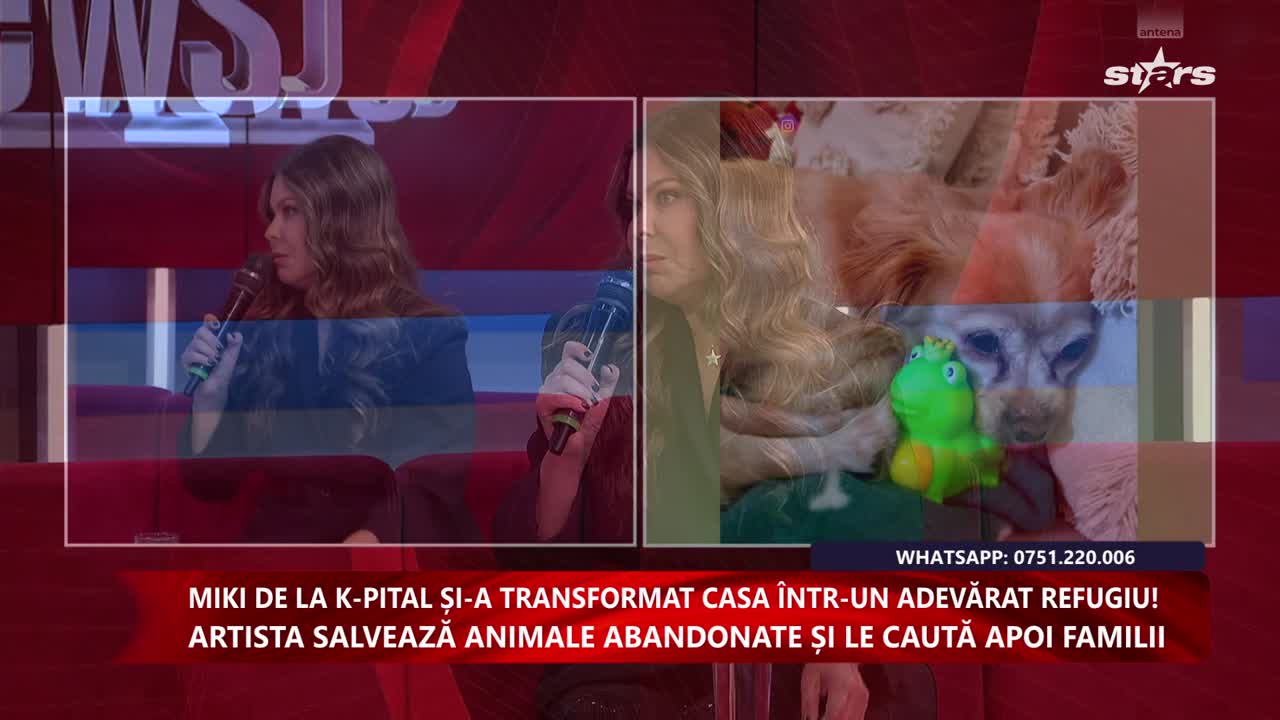 Spynews TV Live