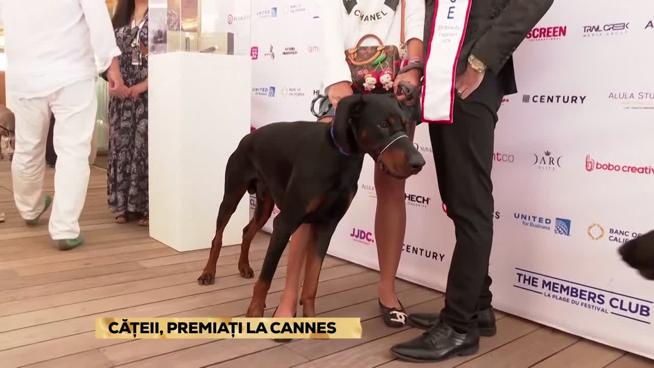 Poftiți la Știri | Episodul 15