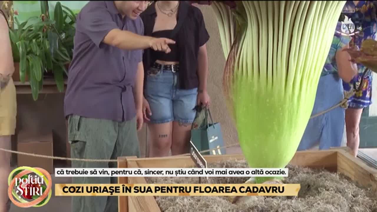 Poftiți la Știri | Episodul 38