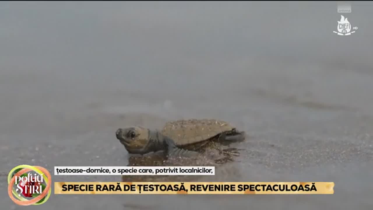 Poftiți la Știri | Episodul 84