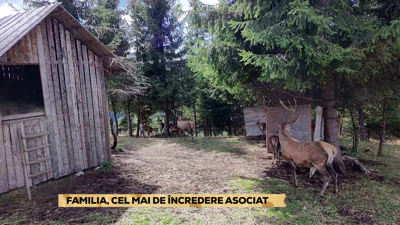 E104 | Poftiți la Știri