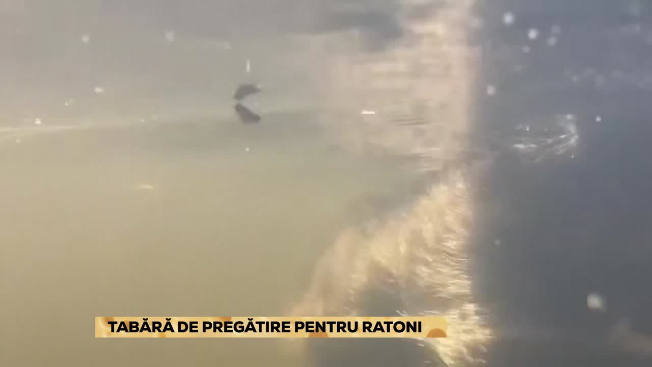 E116 | Poftiți la Știri