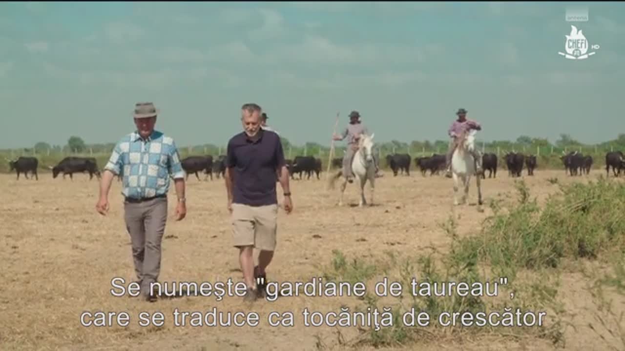 S1 E7 | Să gătim ca-n Franța cu Michel Roux