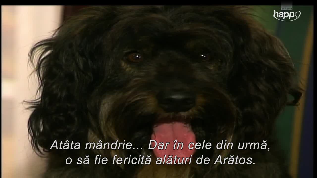 Marimar | Episodul 114