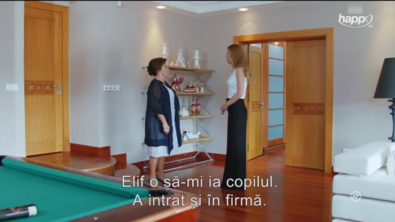Ziua în care mi s-a scris destinul | Episoadele 113 și 114