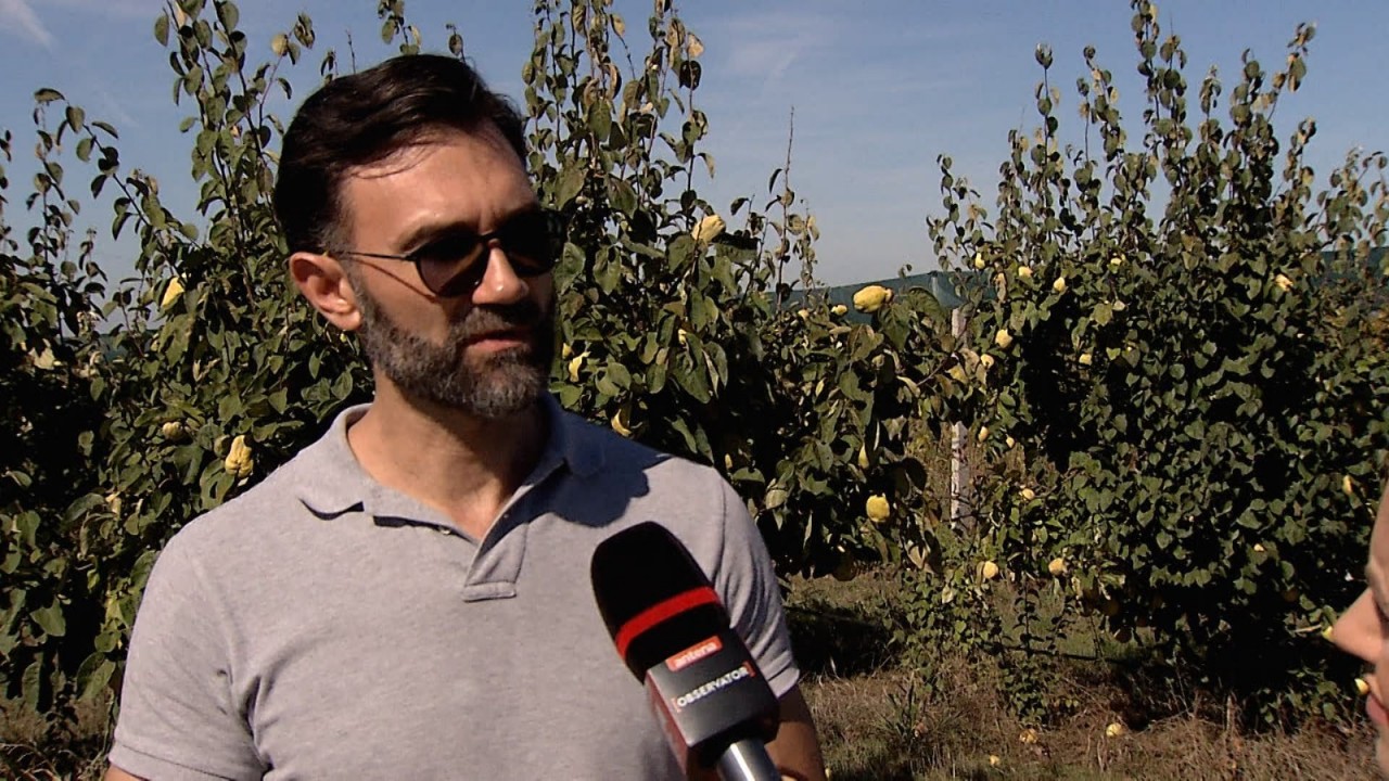 Afacerea care i-a adus succesul lui Filip. Vinde pe platforme de ...