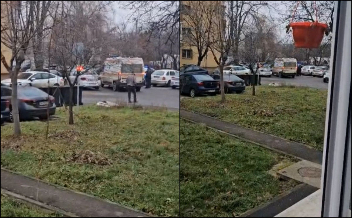 Accident la Timișoara: O femeie rănită de creanga unui copac tăiat