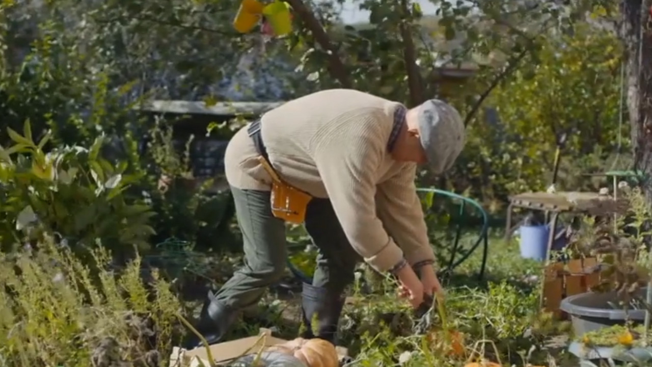 Cât costă să-ţi amenajezi propria "oază verde". Trucuri pentru a găsi cele mai avantajoase preţuri