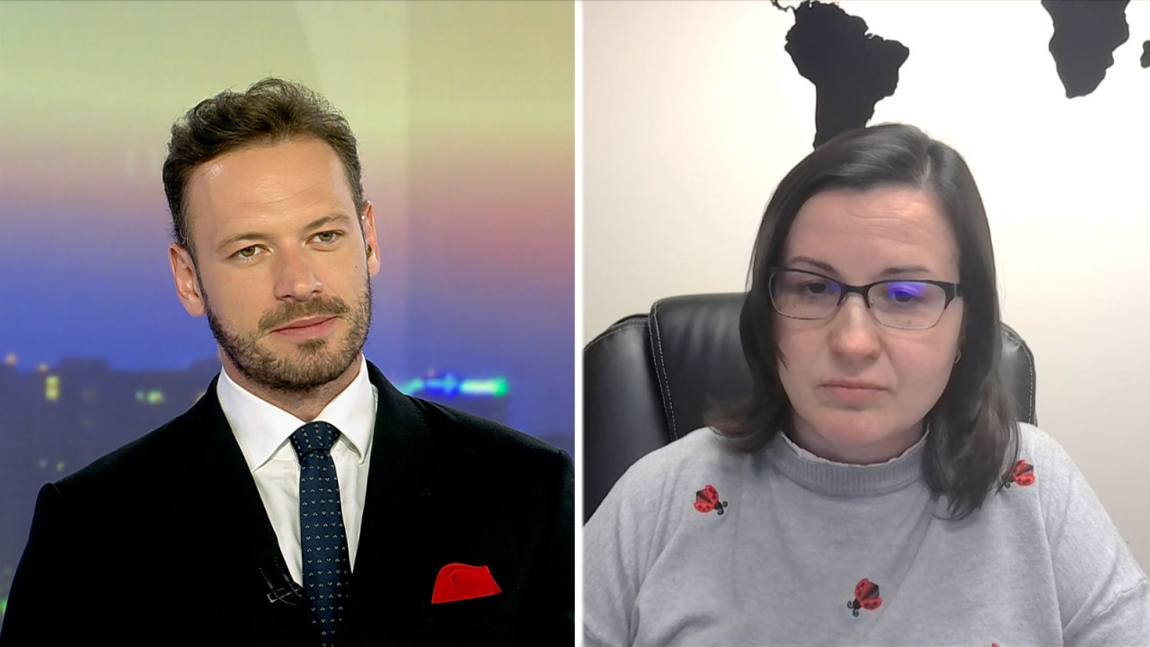 Profesor de Ştiinţe Politice în SUA: Trei ipoteze după ce eliminarea vizelor pentru români a fost amânată
