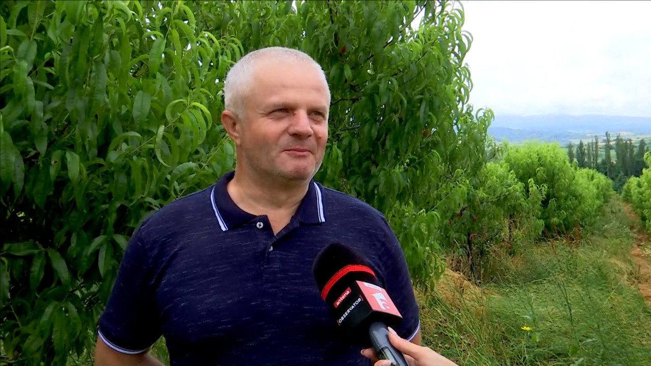 Caisele şi piersicile, la control. Testul pesticidelor arată dacă fructele sunt cu adevărat "româneşti"
