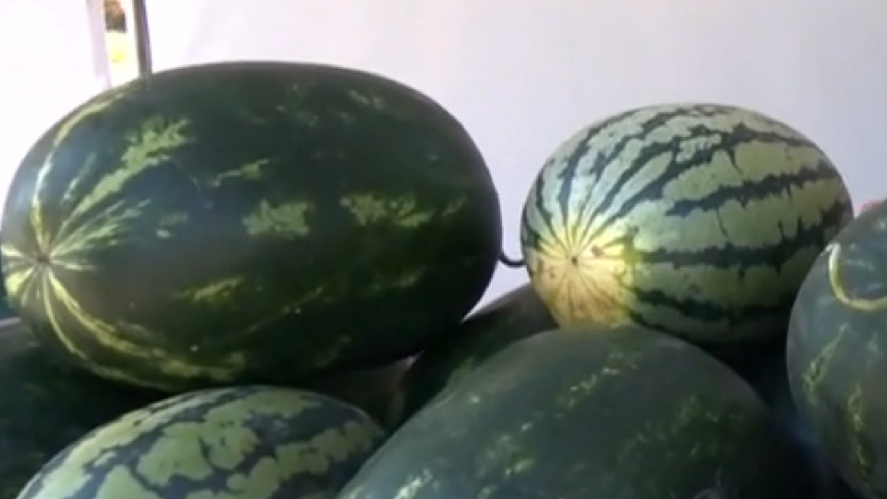 Cinci trucuri simple pentru a alege pepeni dulci, perfect copți