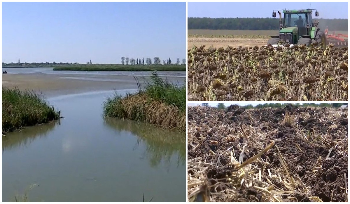 Al 7 cod roşu de caniculă din ultimele 10 săptămâni a adus temperaturi de foc. Culturile, afectate de secetă