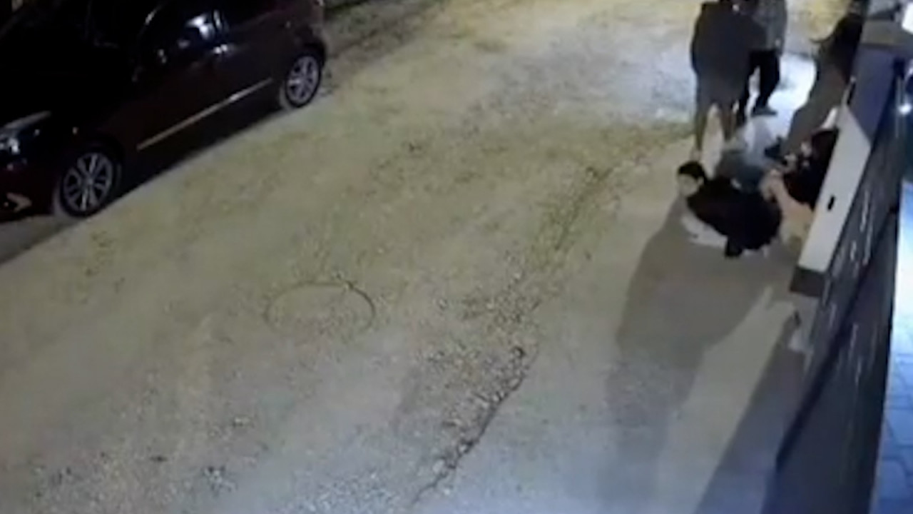 Copii, alergaţi de urs, în Săcele. Au vrut să se baricadeze într-o curte, dar poarta era închisă
