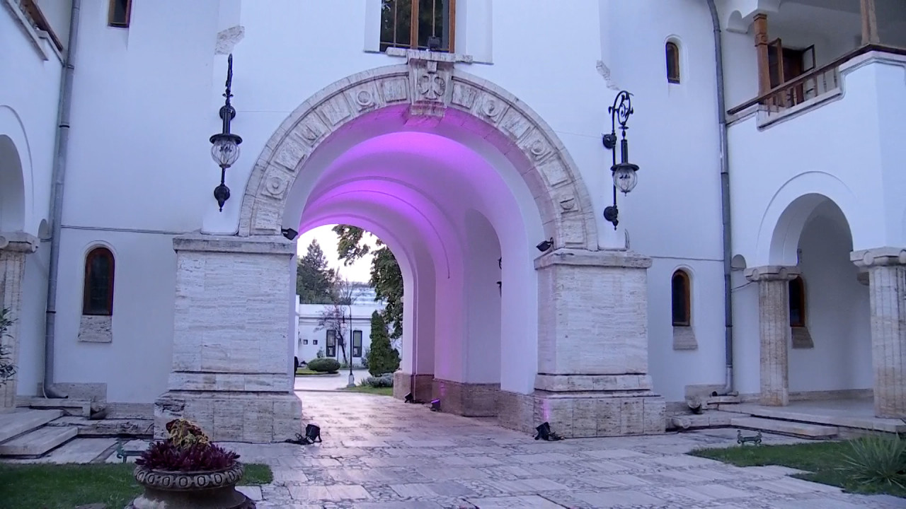 Palatul Cotroceni, iluminat în roz. Partenera lui N. Dan, alături de femeile care luptă cu cancerul de sân