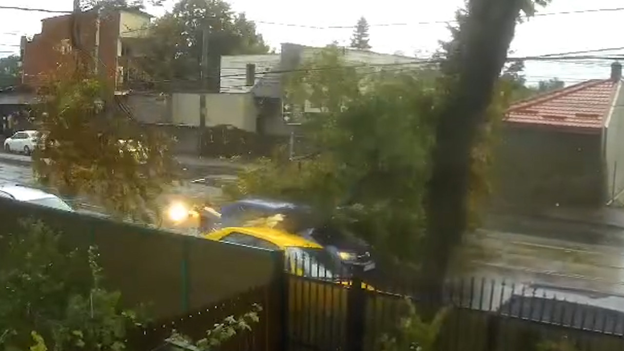 Copac căzut peste mașină în București, vânt puternic