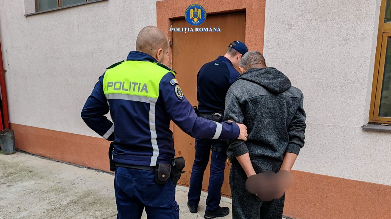 Un bărbat din Cuca, Galați, arestat pentru uciderea unei pisici