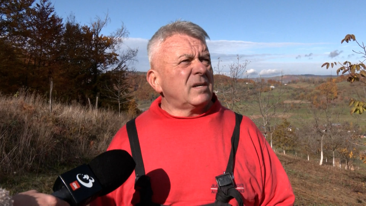 Fructul din România care a devenit rar și scump