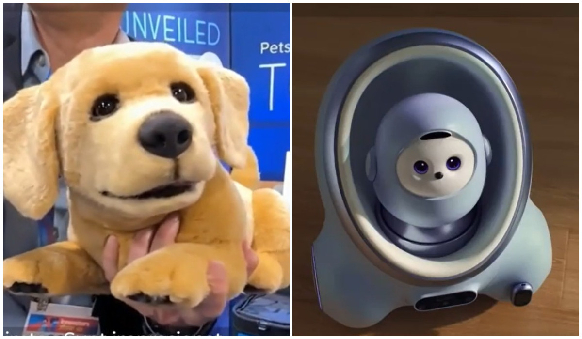 Poza pentru articolul Cum arată noile animale de companie cu AI, din metal, concepute pentru cei alergici