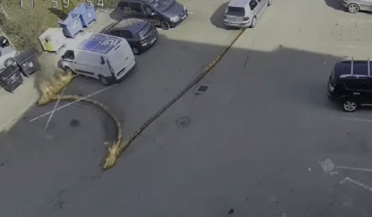 Momentul în care trei maşini iau foc într-o parcare din cauza unor scurgeri de combustibil