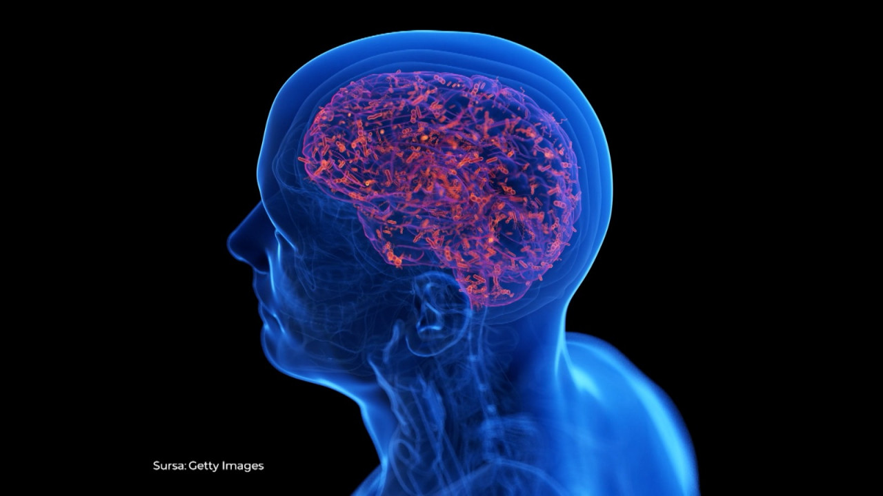 Experții avertizează: focarul de meningită din Marea Britanie ar putea fi o tulpină agresivă