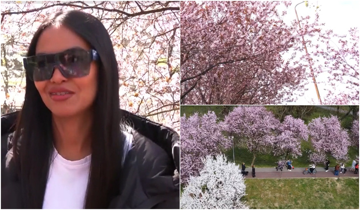 Poza pentru articolul Reacţia unei turiste din Thailanda, care vede pentru prima dată "tunelul iubirii" din Timişoara