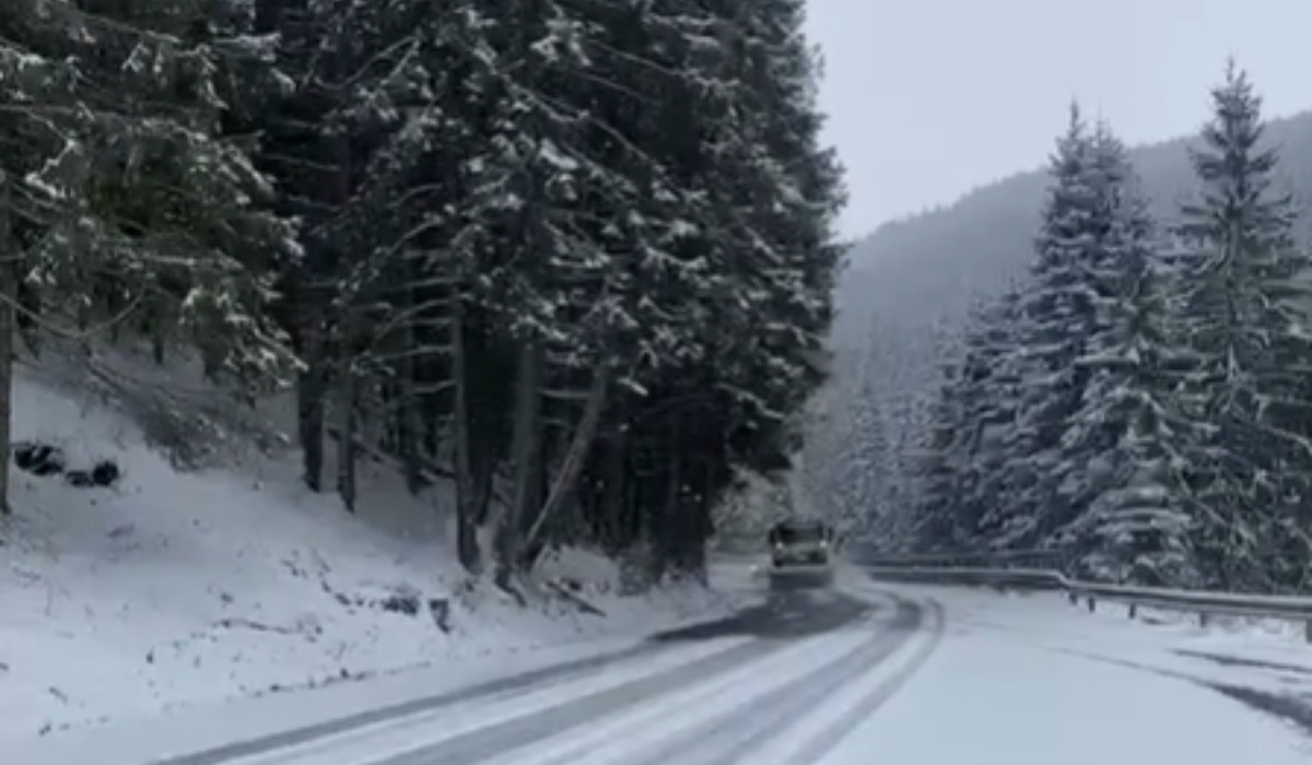 Unde s-a aşternut "zăpada mieilor", cu două zile înainte de Paşte. Ce surpriză aduce prognoza meteo
