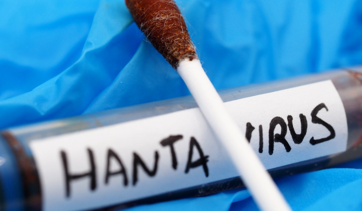 Caz de hantavirus în România, discuții internaționale