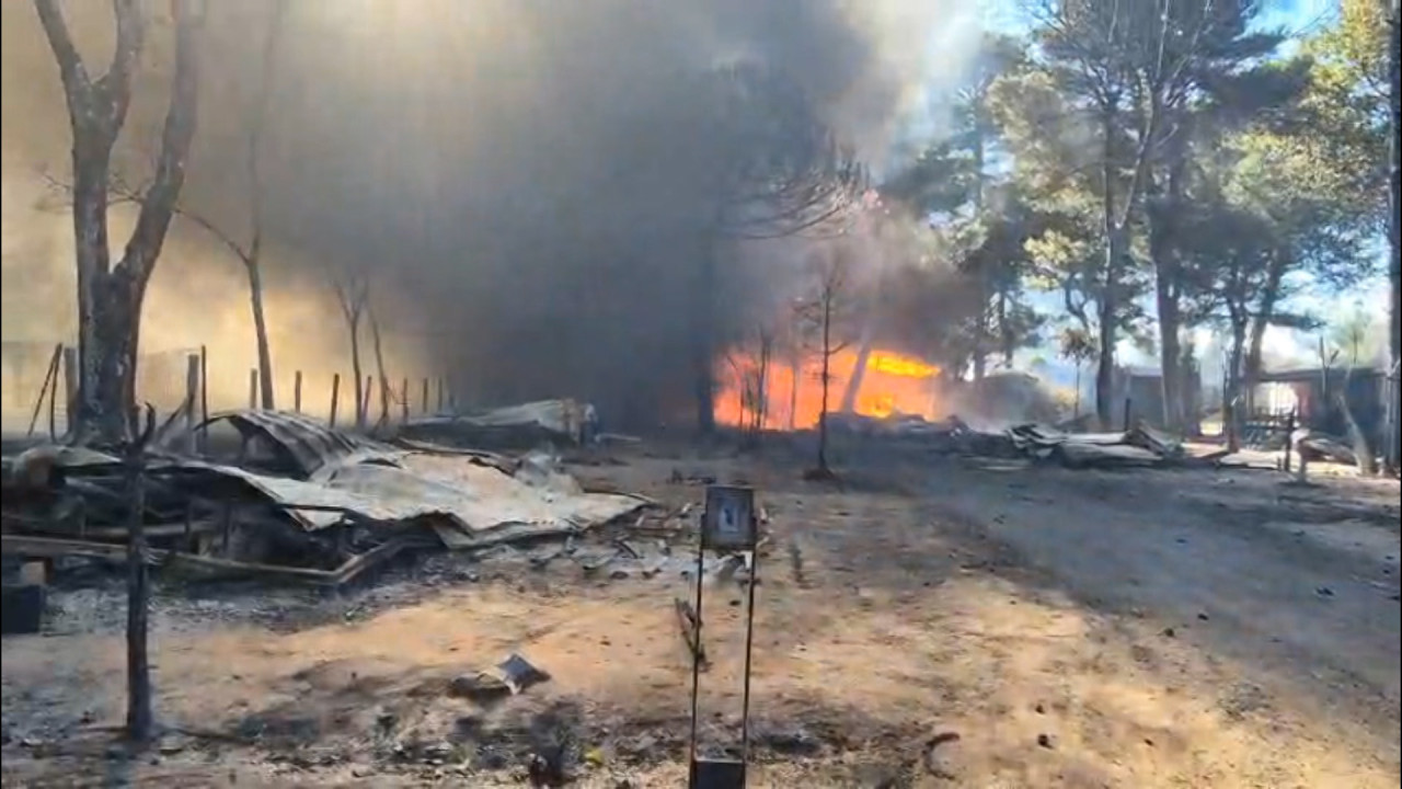 Incendiu masiv la Mizil: 2 hectare de grâu mistuite de flăcări