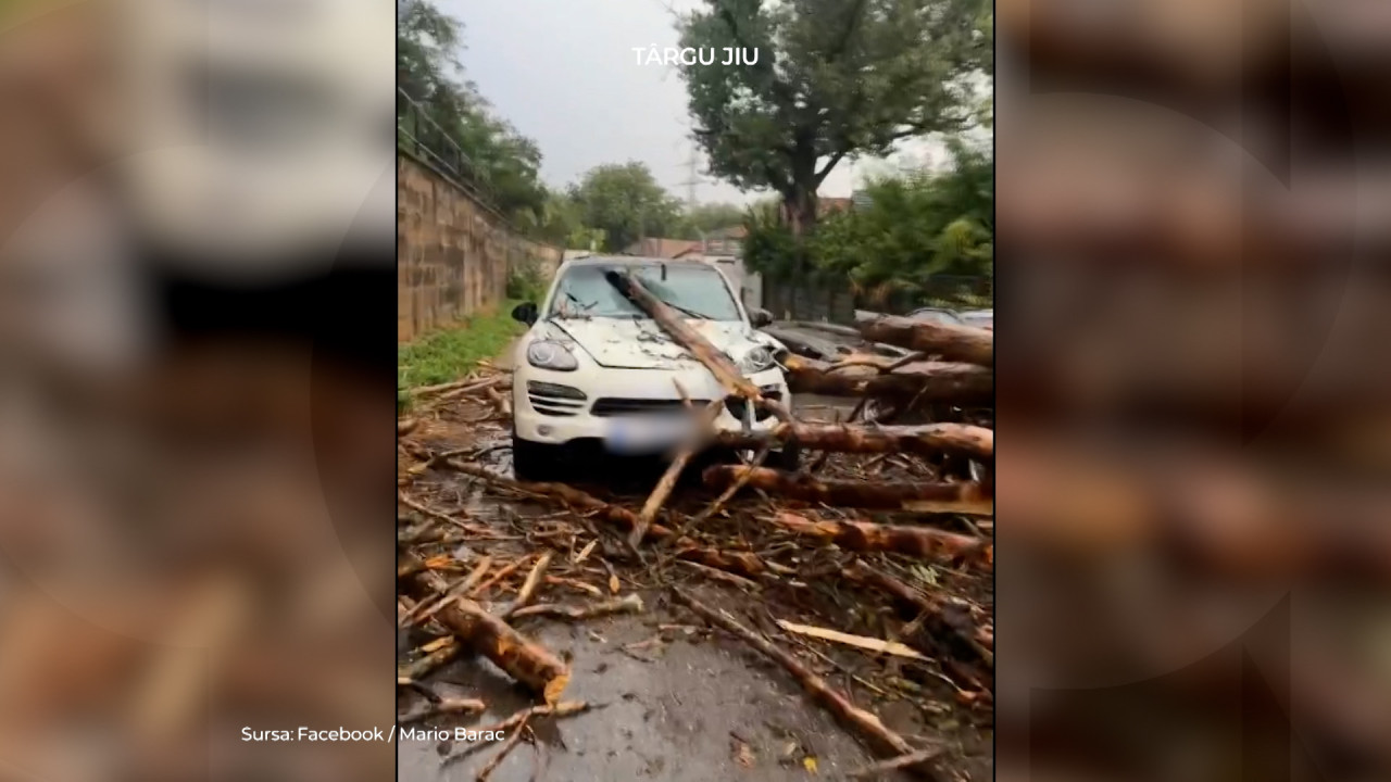 Cântăreţ celebru, la un pas să fie strivit de copac, în maşină. "Uitaţi cum era să mor"
