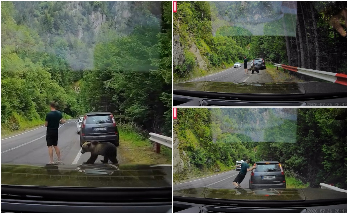 "Chiar și ursul e confuz". Cu ochii în telefon, un turist a fost la un pas să fie mușcat pe Transfăgărășan