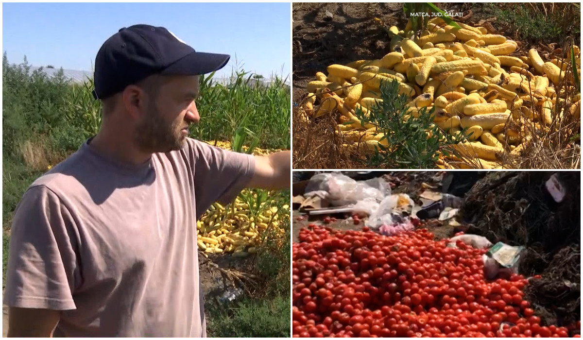 Cu o recoltă bogată, fermierii aruncă tone de legume la gunoi. "Nu s-a vândut"