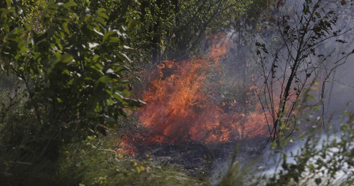 Incendii de vegetaţie în vestul ţării: elicopter Black Hawk și zeci de pompieri, mobilizați