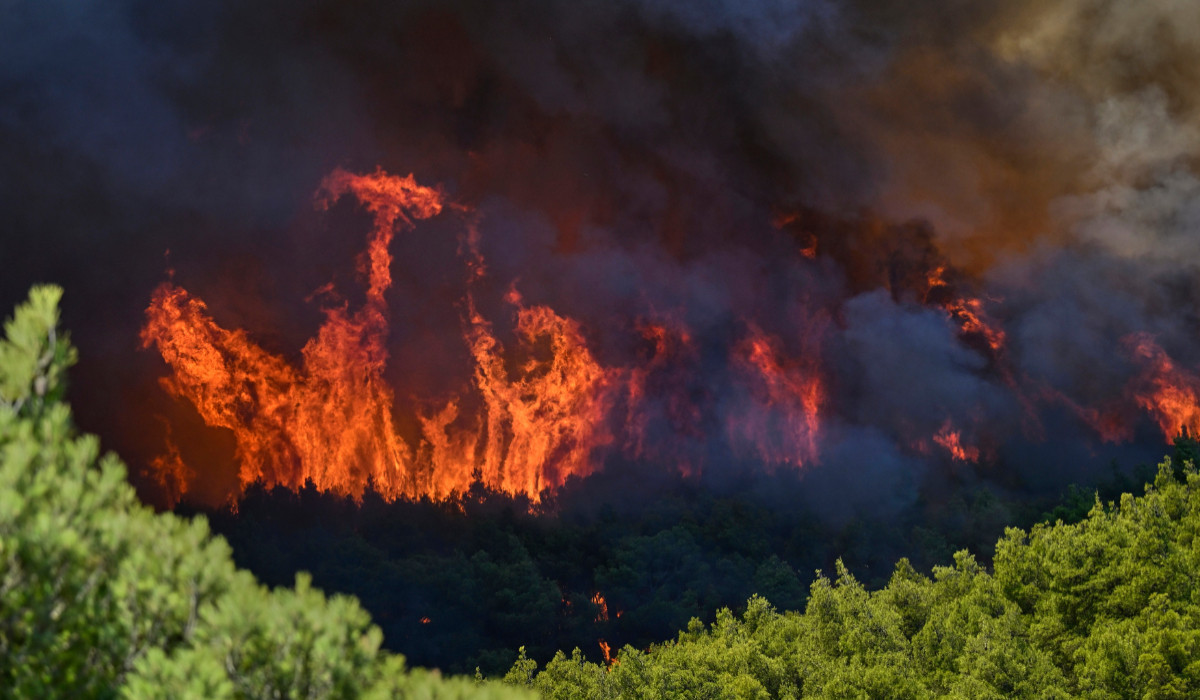 Incendiu uriaș lângă Atena. 5.000 de hectare, mistuite de flăcări la Porto Germeno: "Nu se putea face nimic"