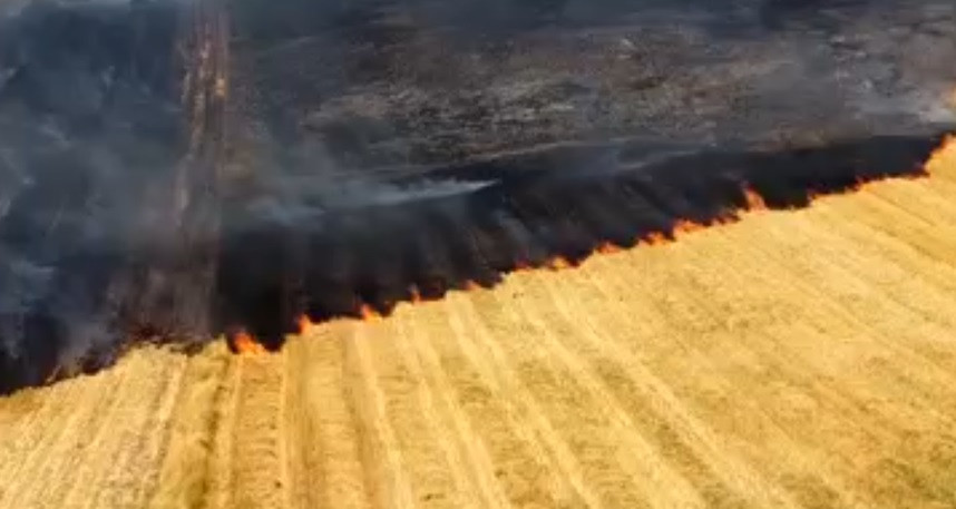 Recomandările ISU pentru evitarea incendiilor de vegetaţie în timpul caniculei