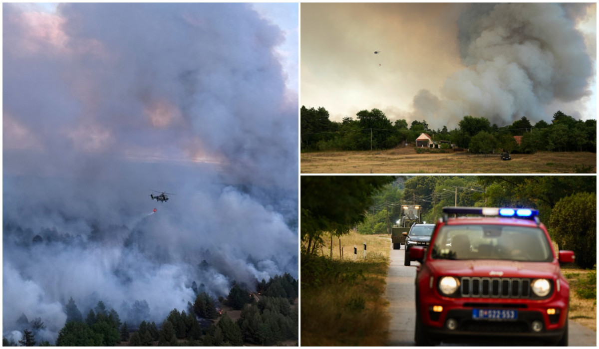 Incendiile din Europa fac prăpăd tot mai aproape de granița cu România. Peste 700 ha au ars în Serbia