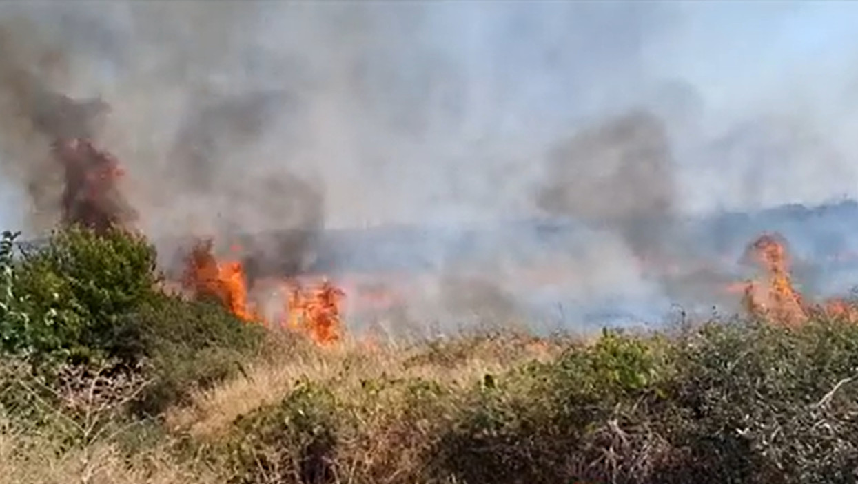 Incendii de vegetație în Mehedinți. Flăcările au mistuit două hectare de teren