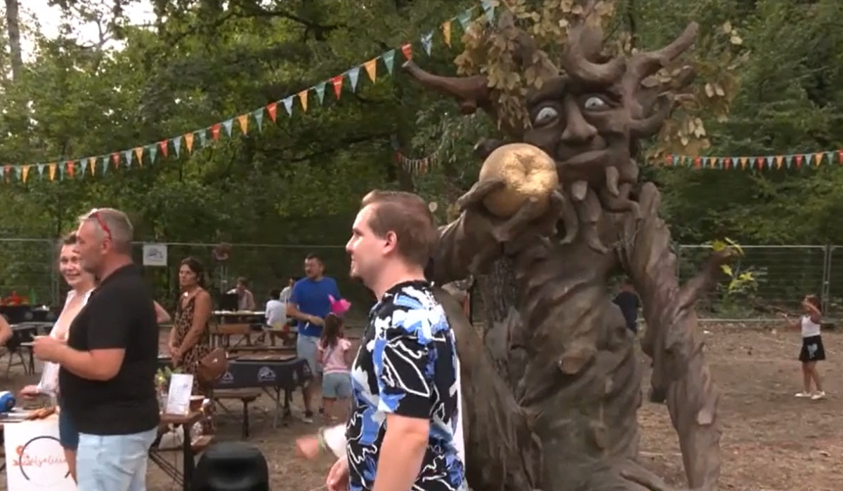 Poza pentru articolul Festivalul din Timişoara unde fiecare bilet înseamnă un copac plantat. Cum arată ediția din acest an