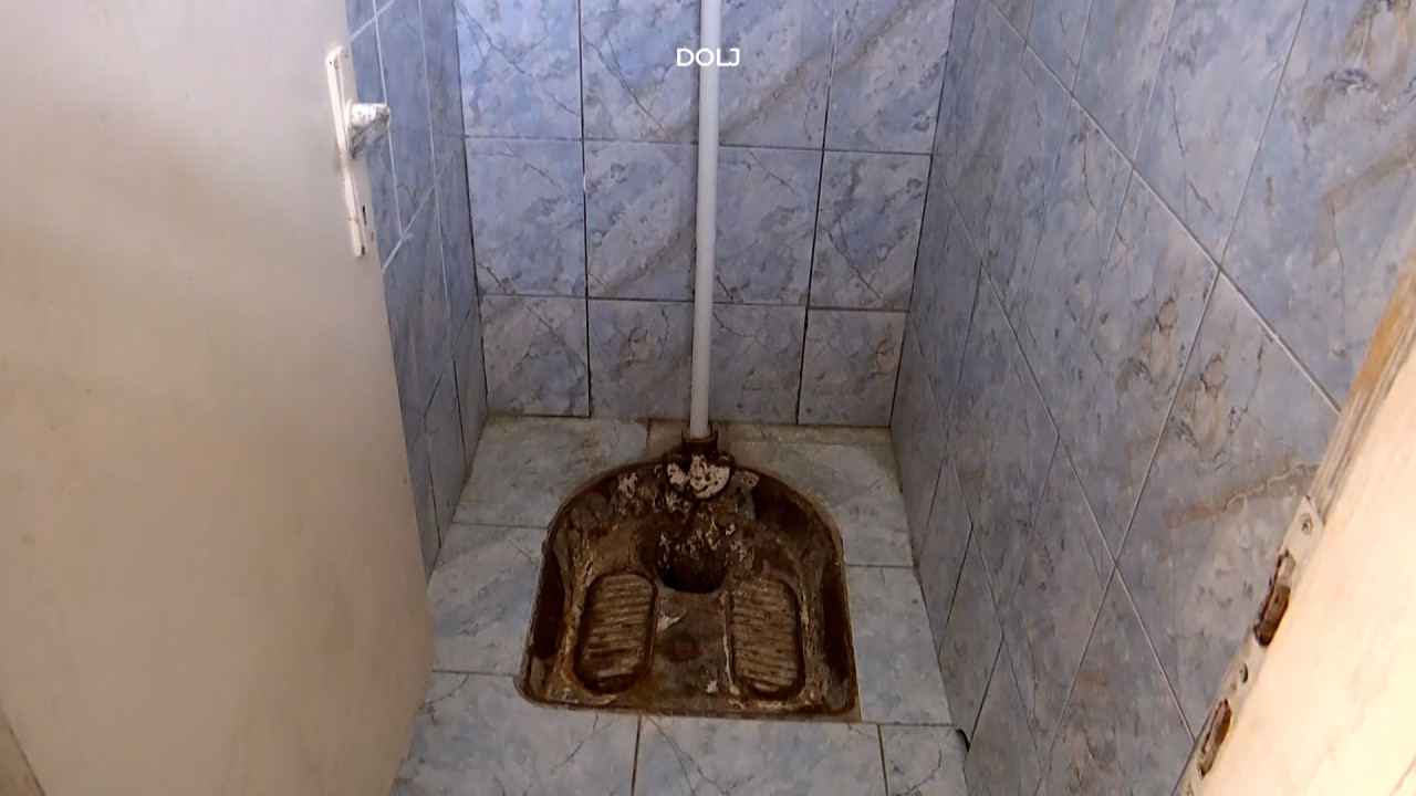 Observator