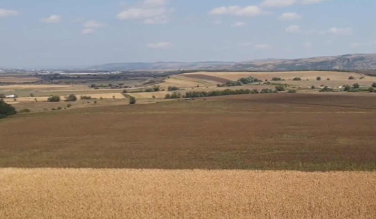 Cultura care trebuia să salveze anul agricultorilor, lovită de secetă. Fermierii nu pot începe semănatul