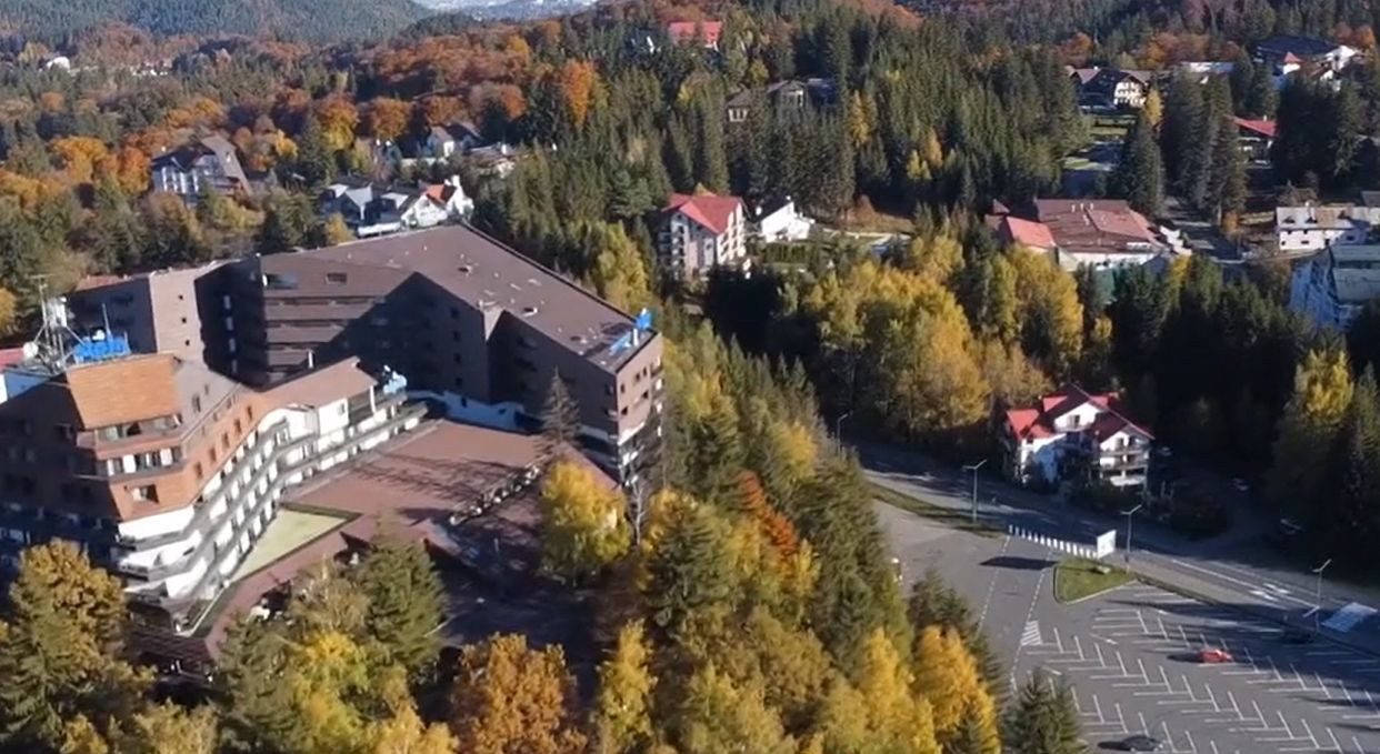 Orașul din România invadat de aproape 100 de urși. Pădurile din zonă ar putea susține doar 15