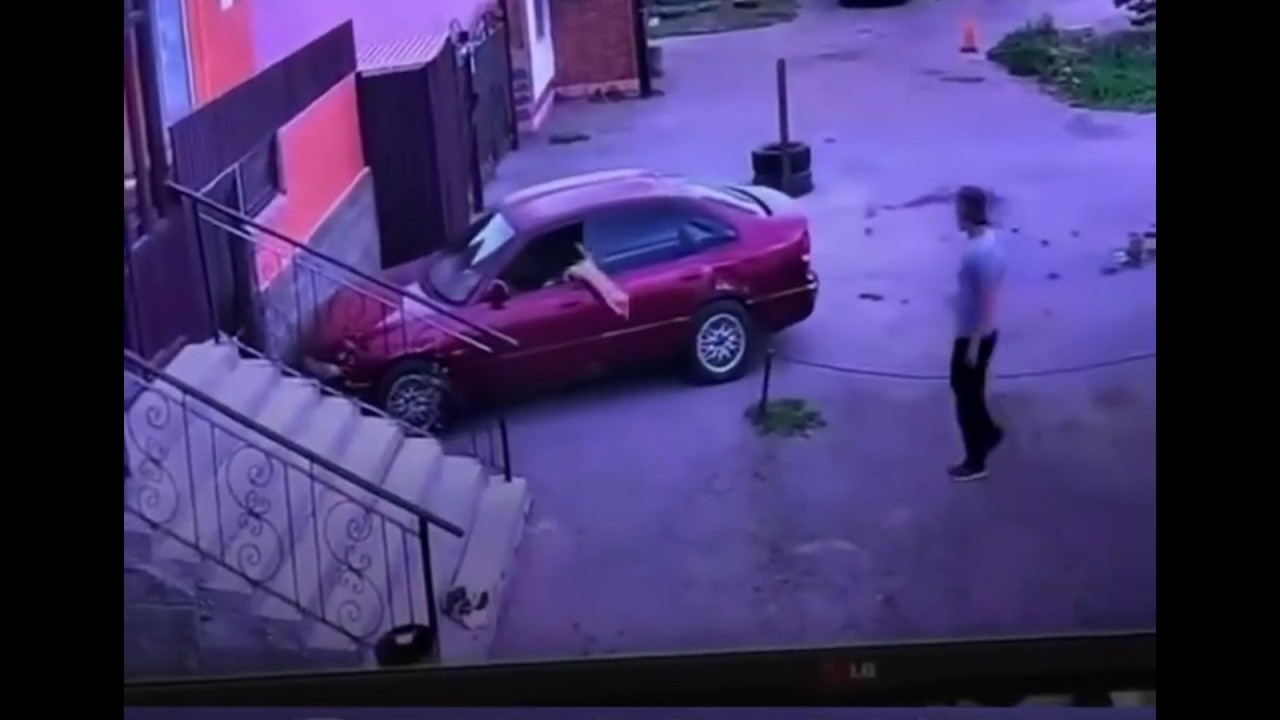 Momentul în care o pisică fură o maşină şi face accident. Imaginile au devenit rapid virale