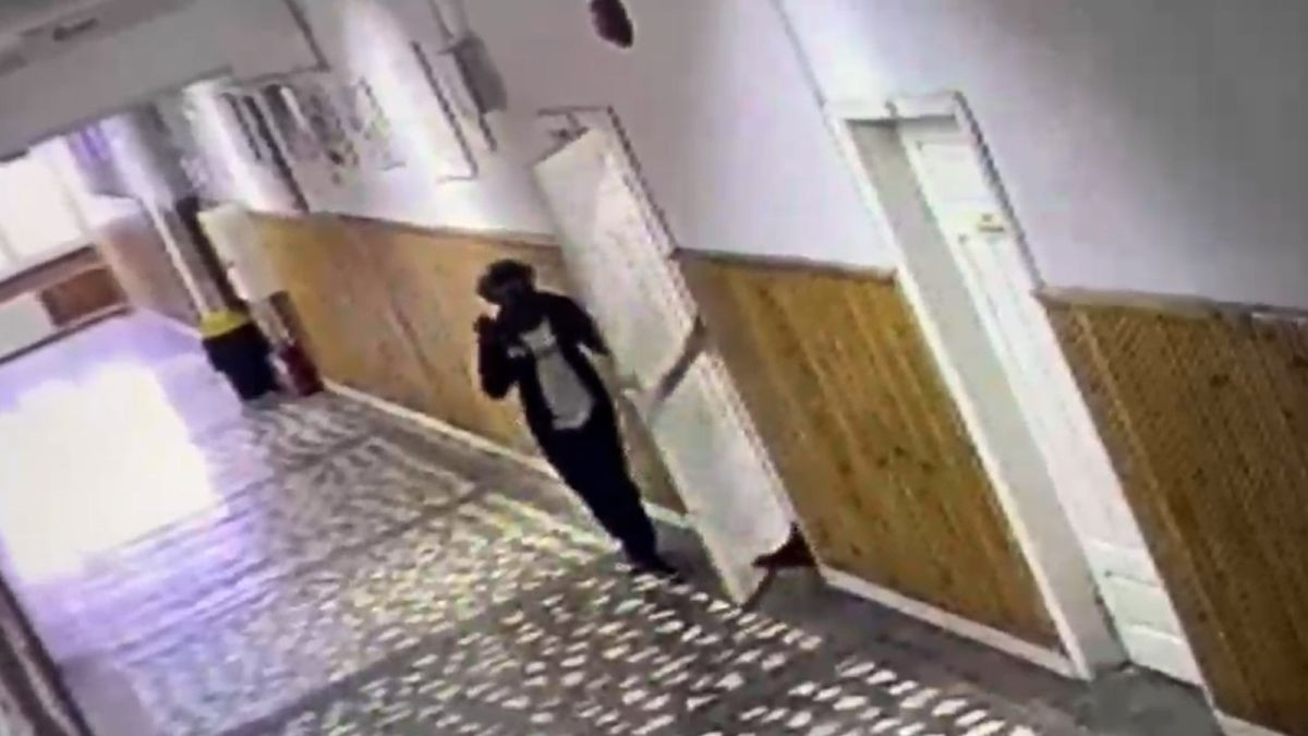 "Vreau să-l fac să sufere". Jurnalul secret al lui Andi, copilul care a atacat o profesoară și un elev