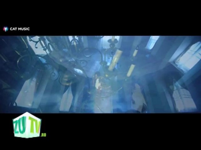 dj project 1 despre piesa