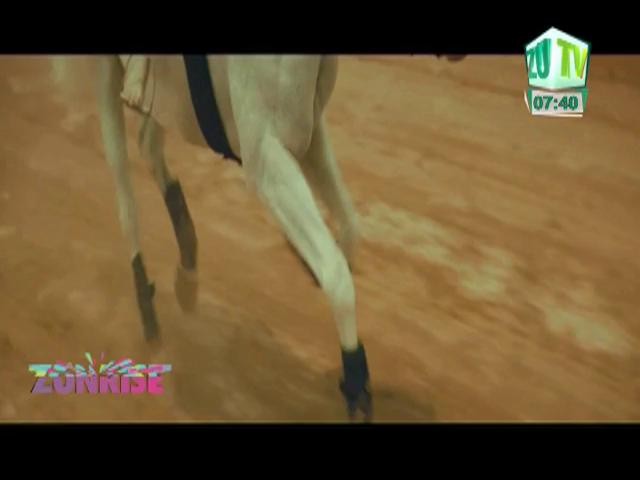 Enrique Iglesias feat. Wisin: "Duele el corazon"